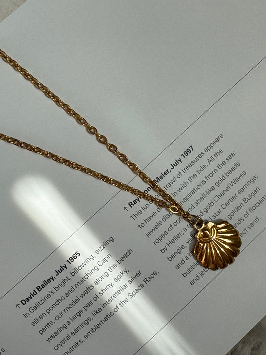 Shell Necklace