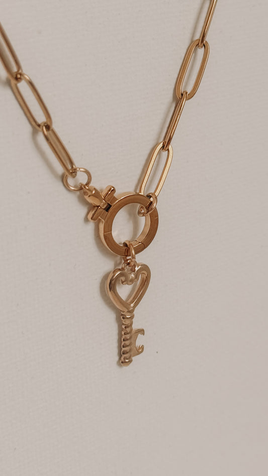 Paper Clip Round Carabiner Necklace