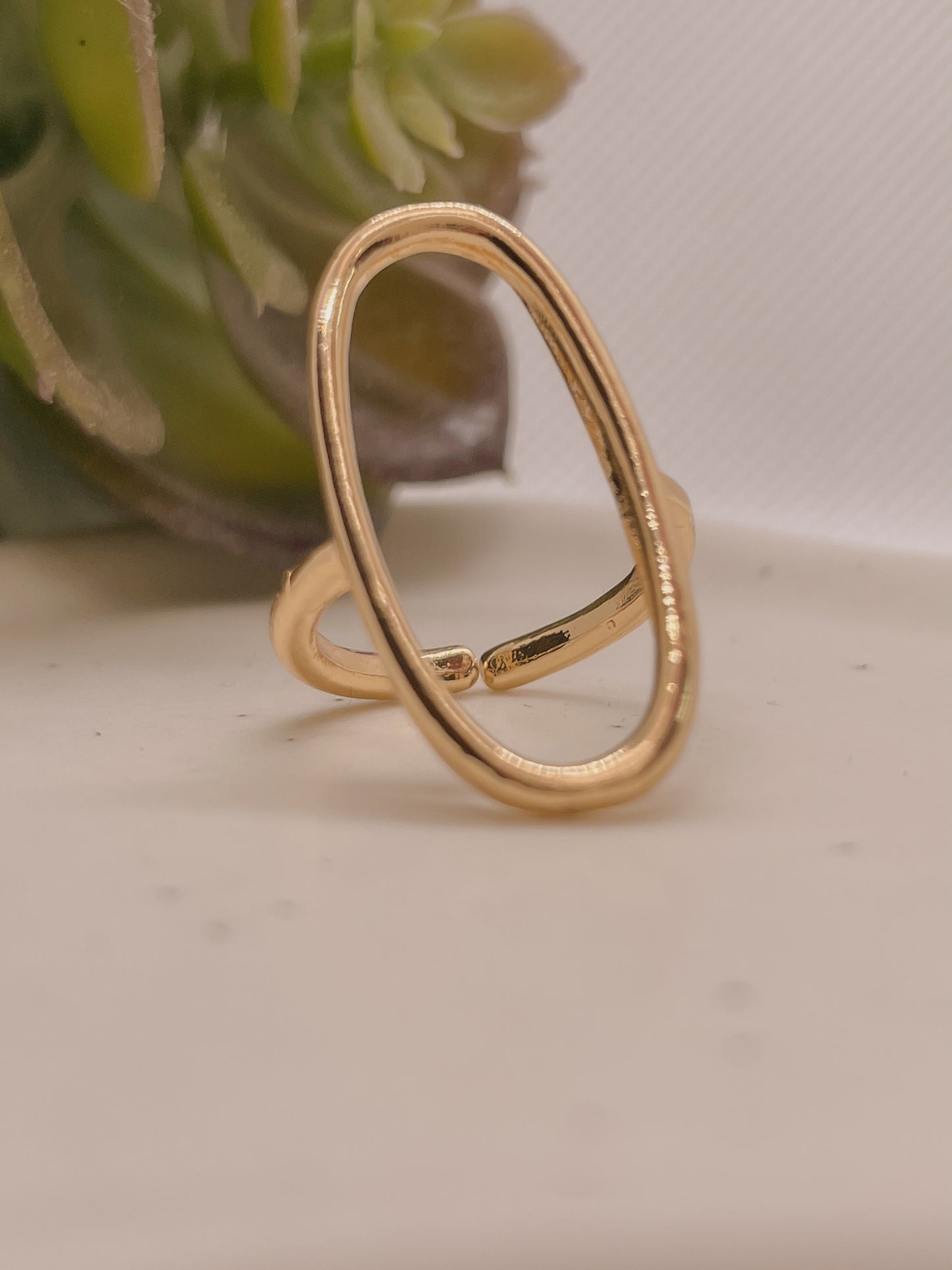 Anillo de Playa