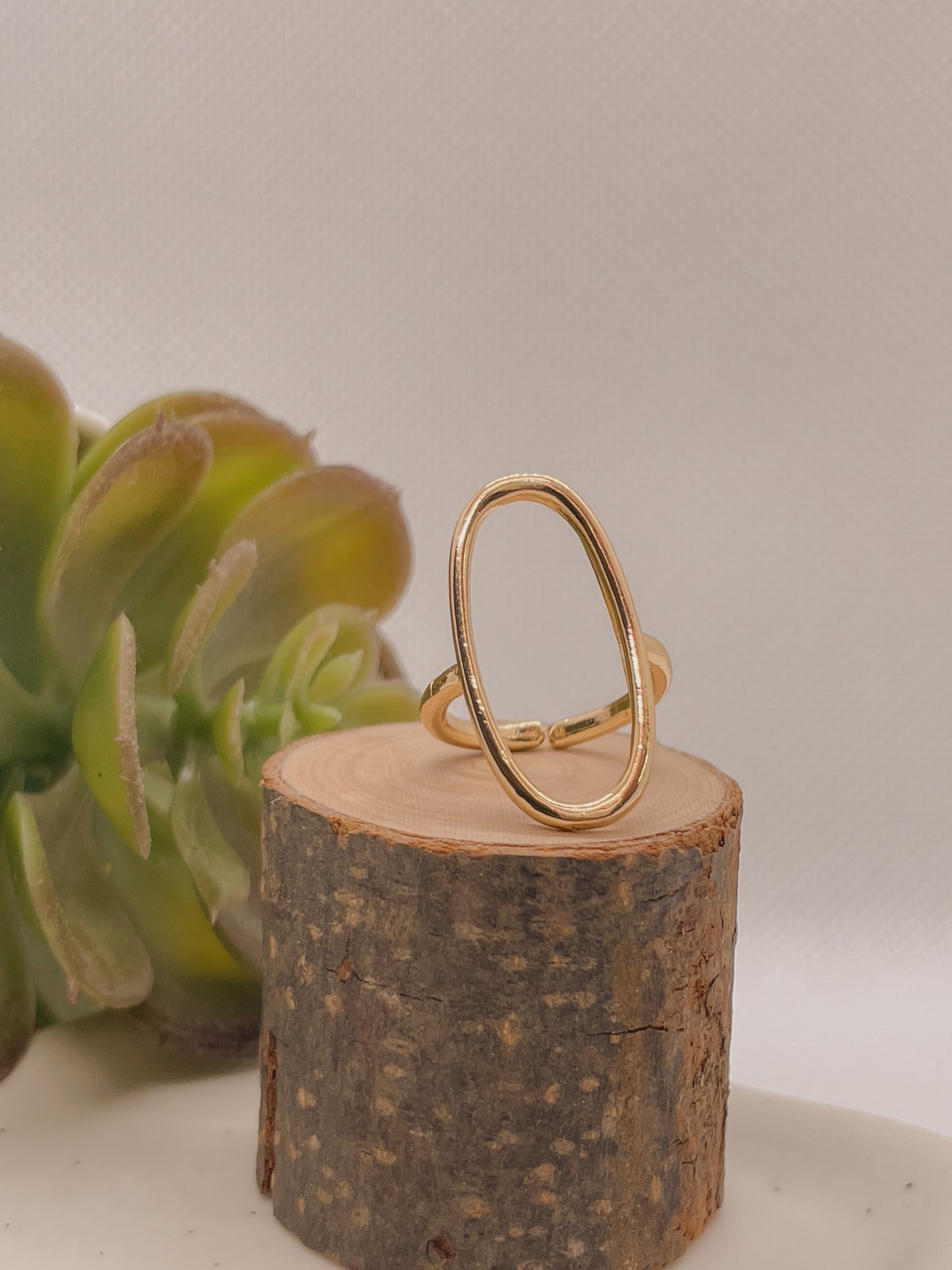 Anillo de Playa