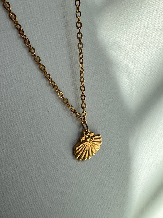 Shell Necklace