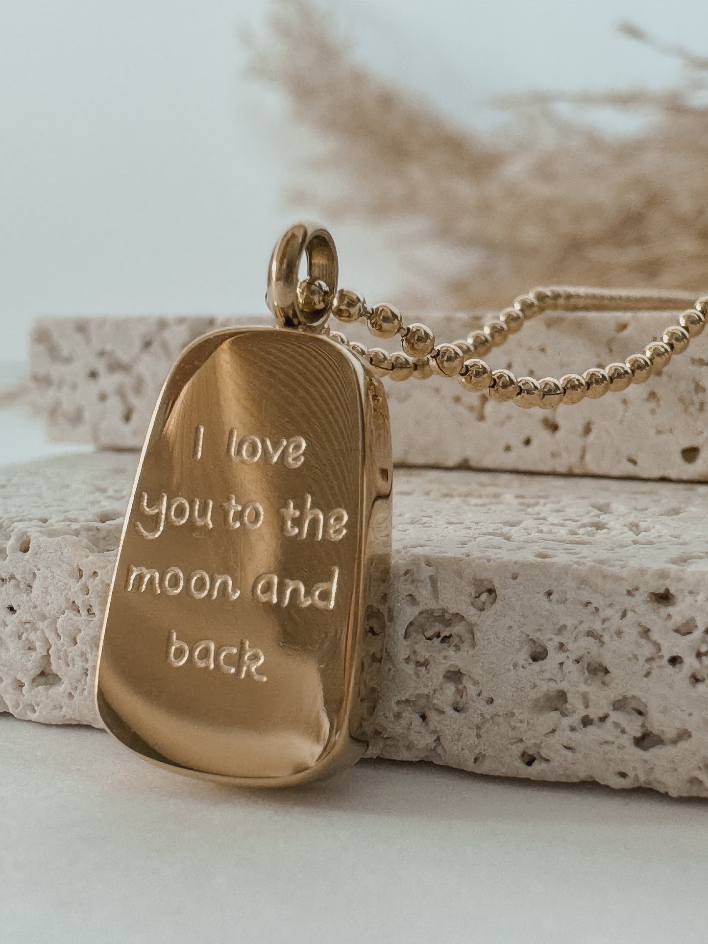 To The Moon & Back