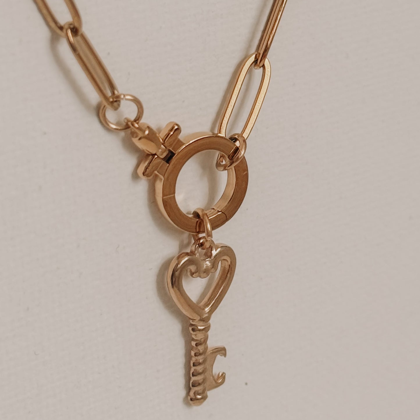 Paper Clip Round Carabiner Necklace