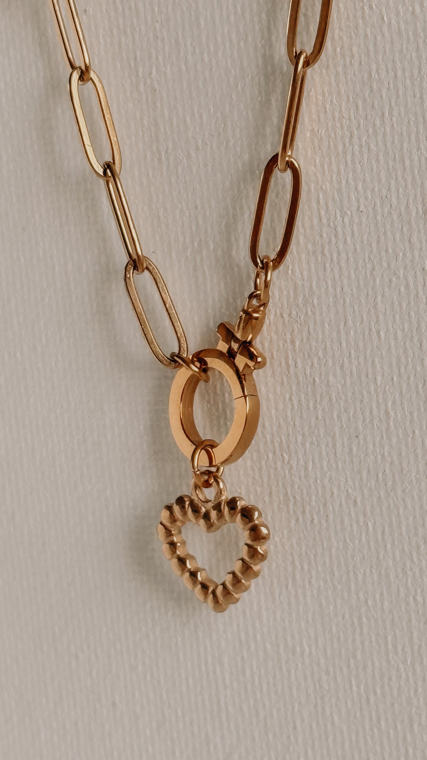 Paper Clip Round Carabiner Necklace